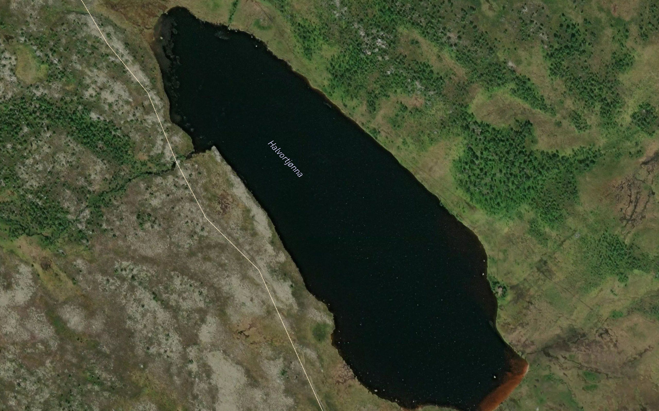 Halvortjonna