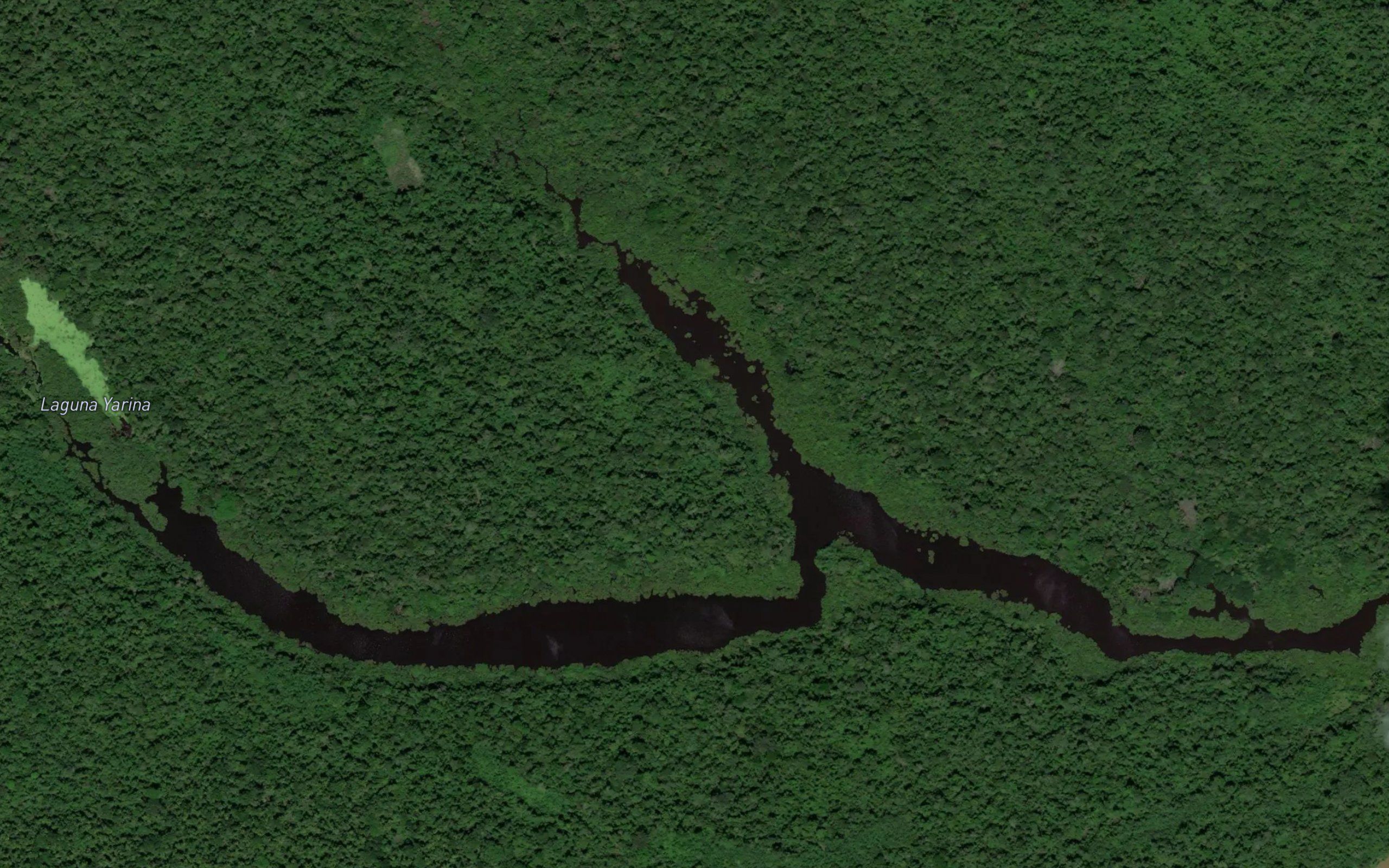 Laguna Yarina