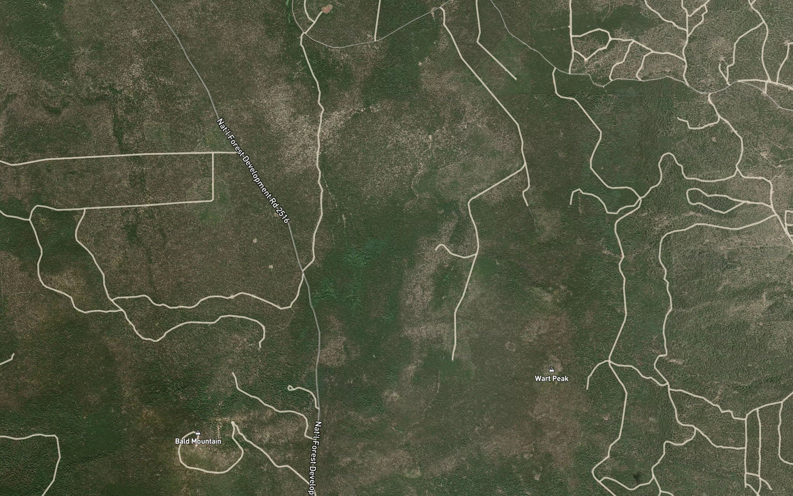 Community Reseeding Waterhole