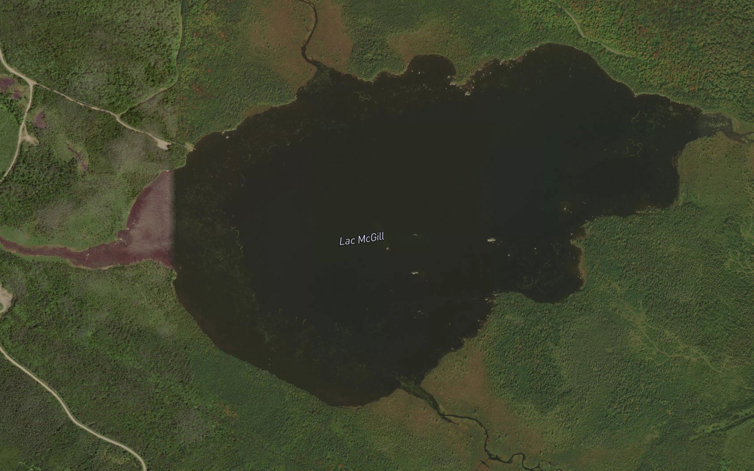 Lac McGill