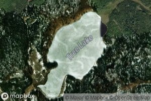 Tree Lake