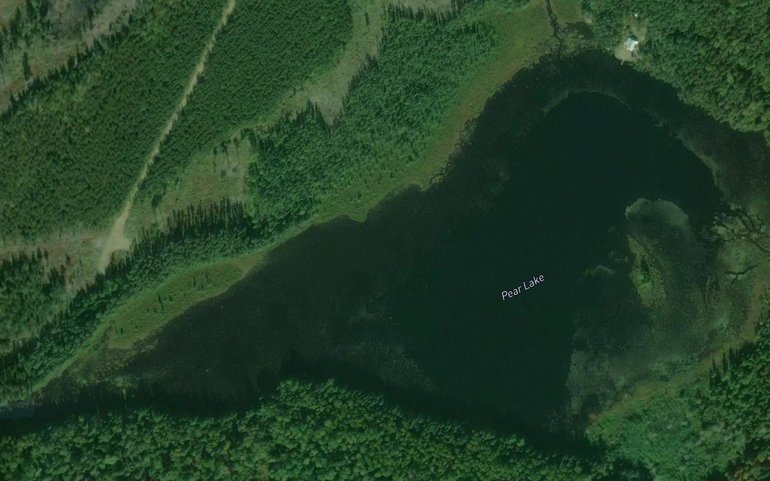 Pear Lake