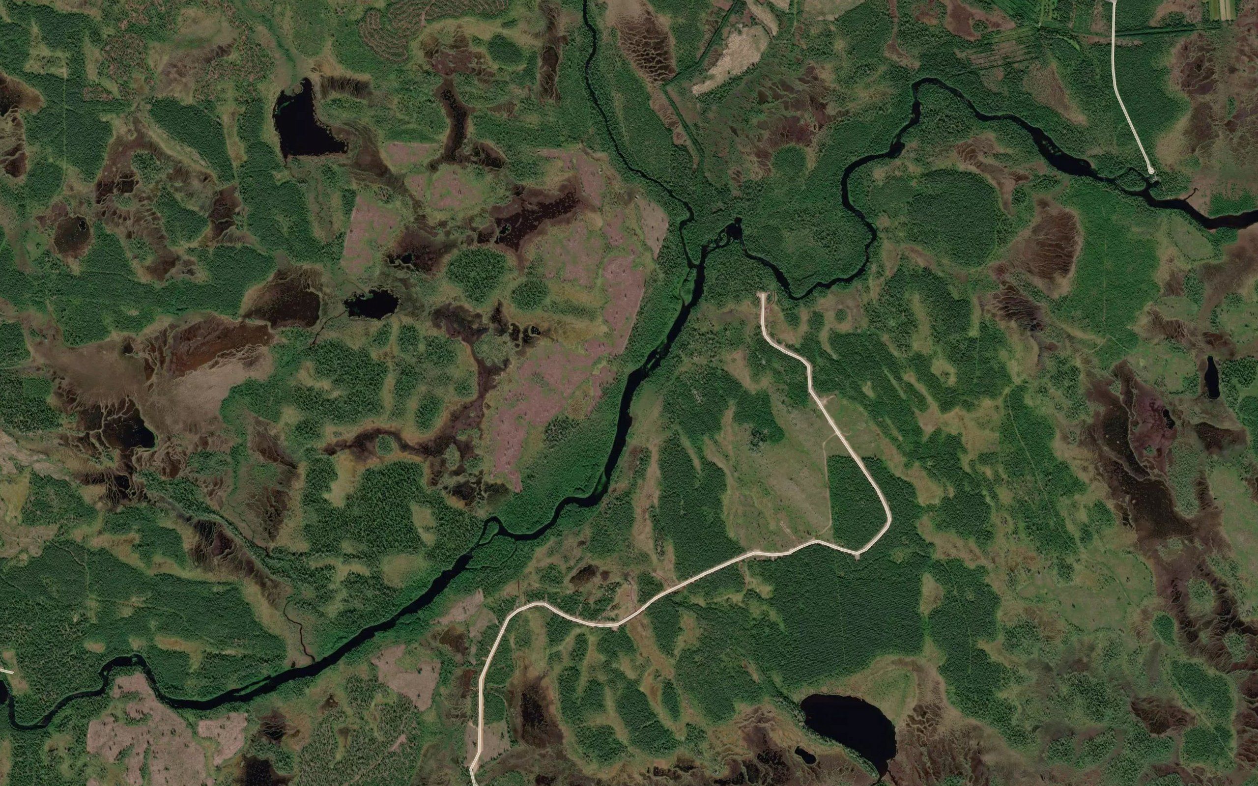 Kermussuvanto