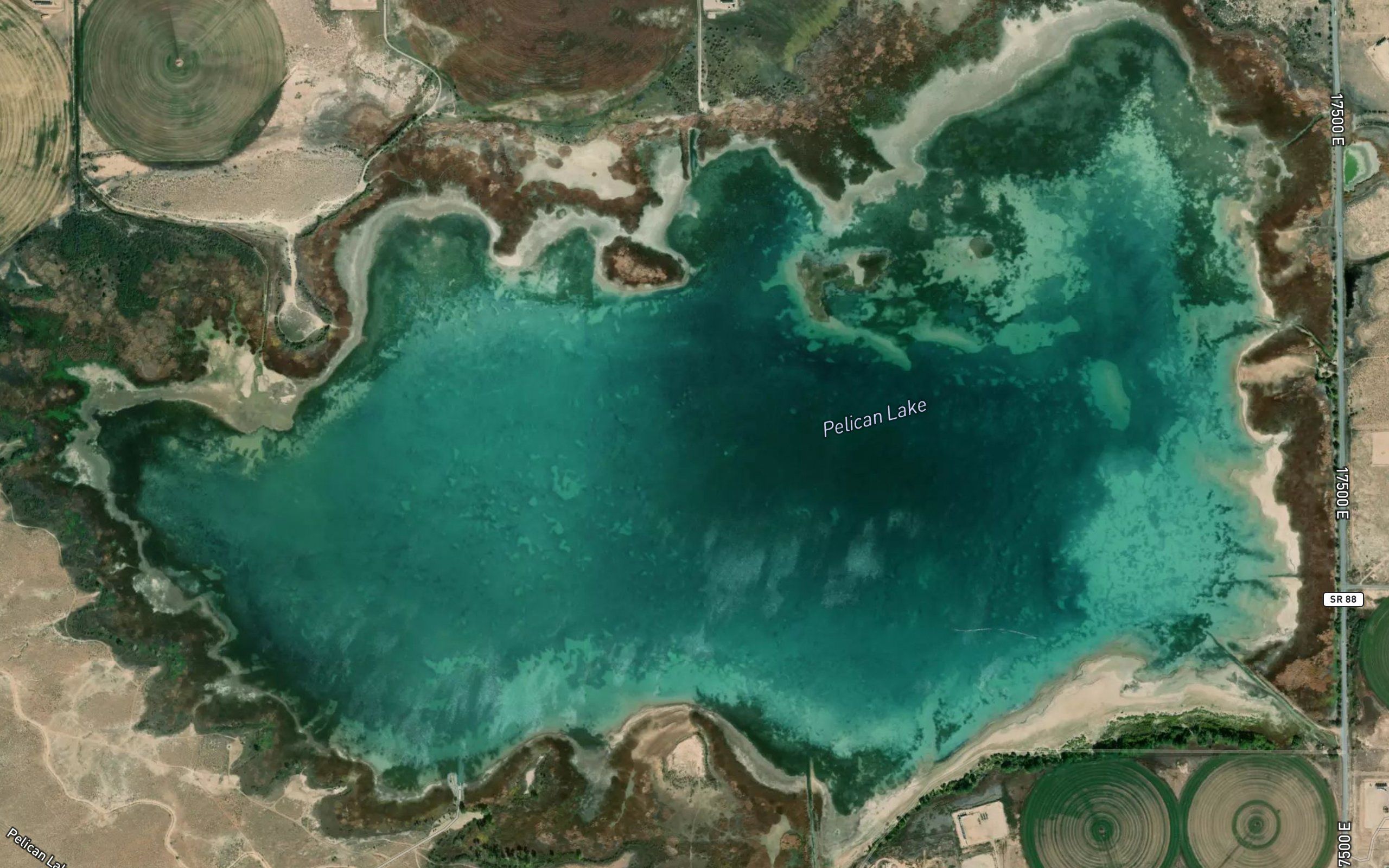 Pelican Lake