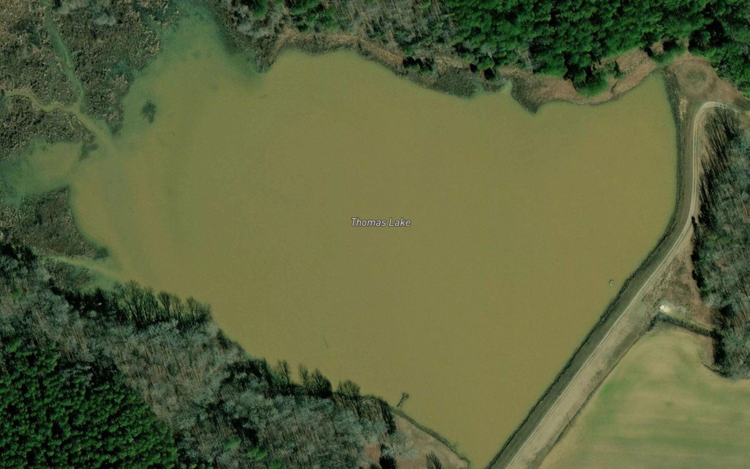 Thomas Lake