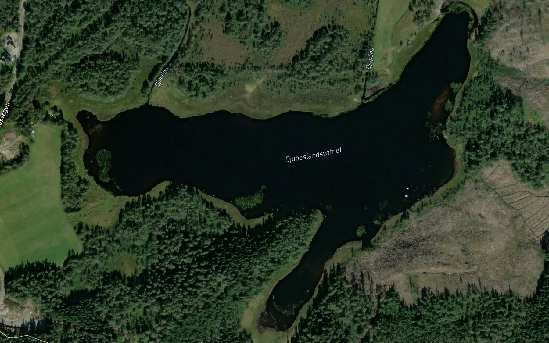Satellite map of the Djupeslandsvannet