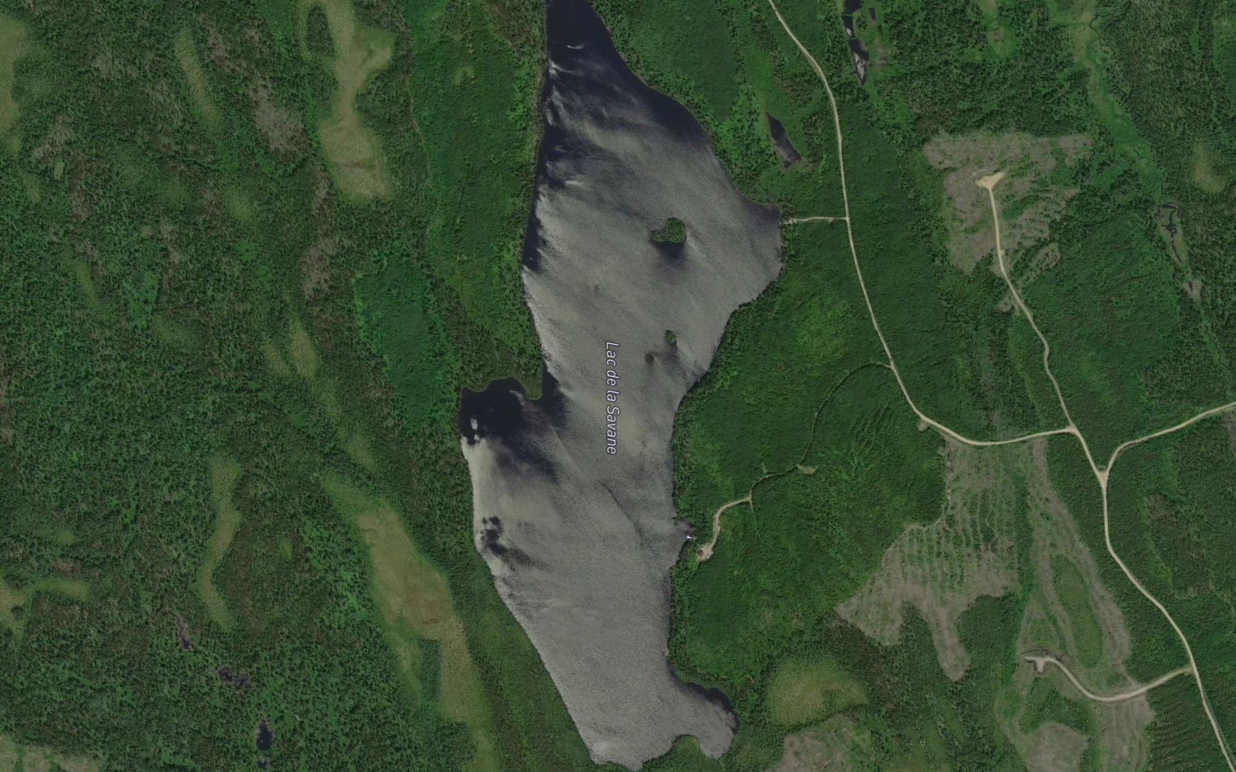 Satellite map of the Lac de la Savane