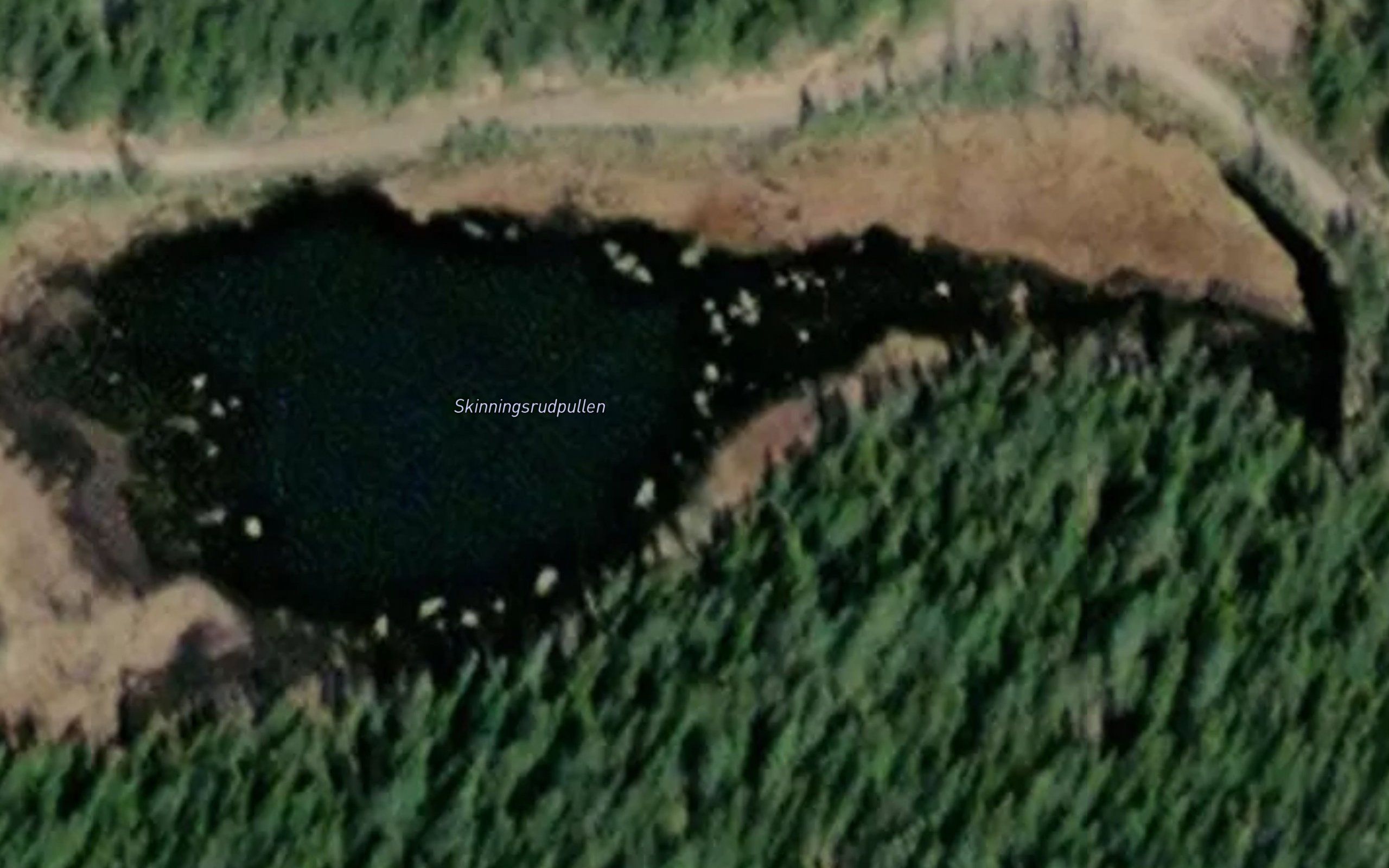 Skinningsrudpullen