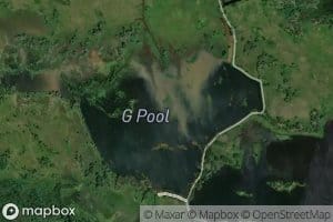 G Pool