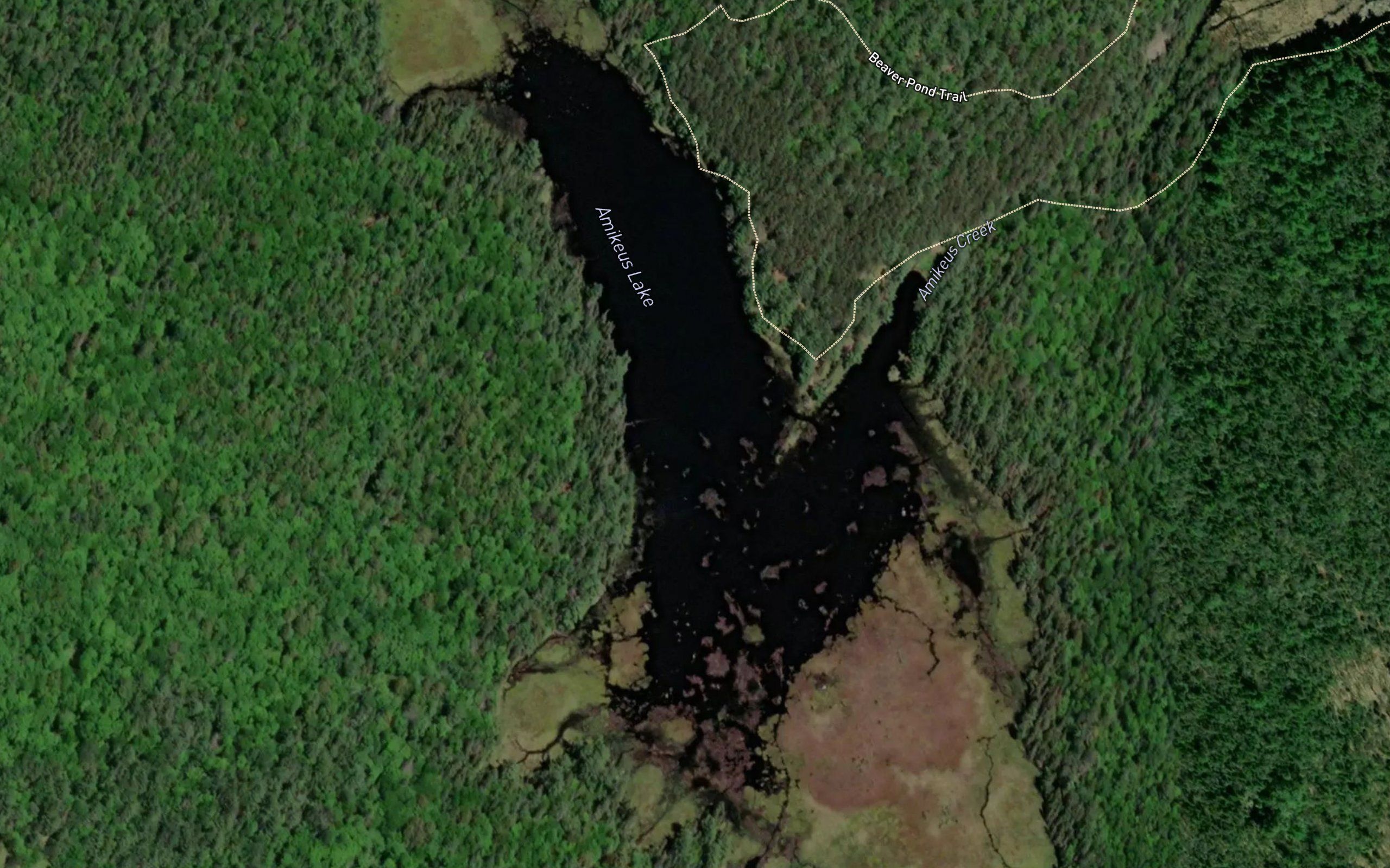 Amikeus Lake