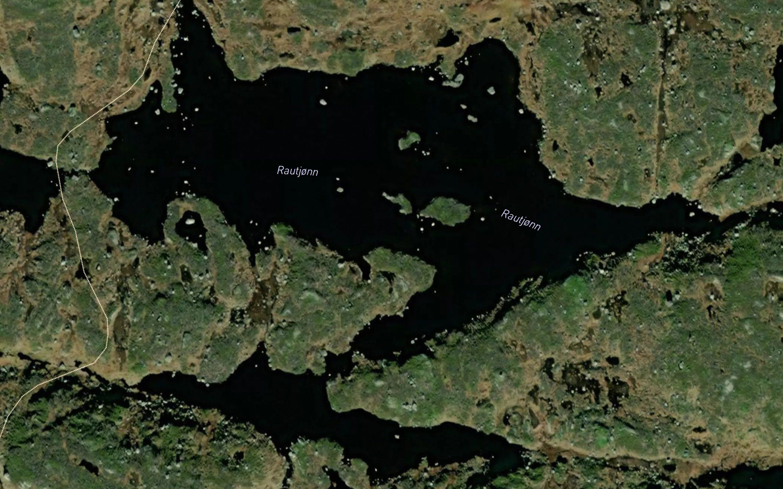 Rautjonn