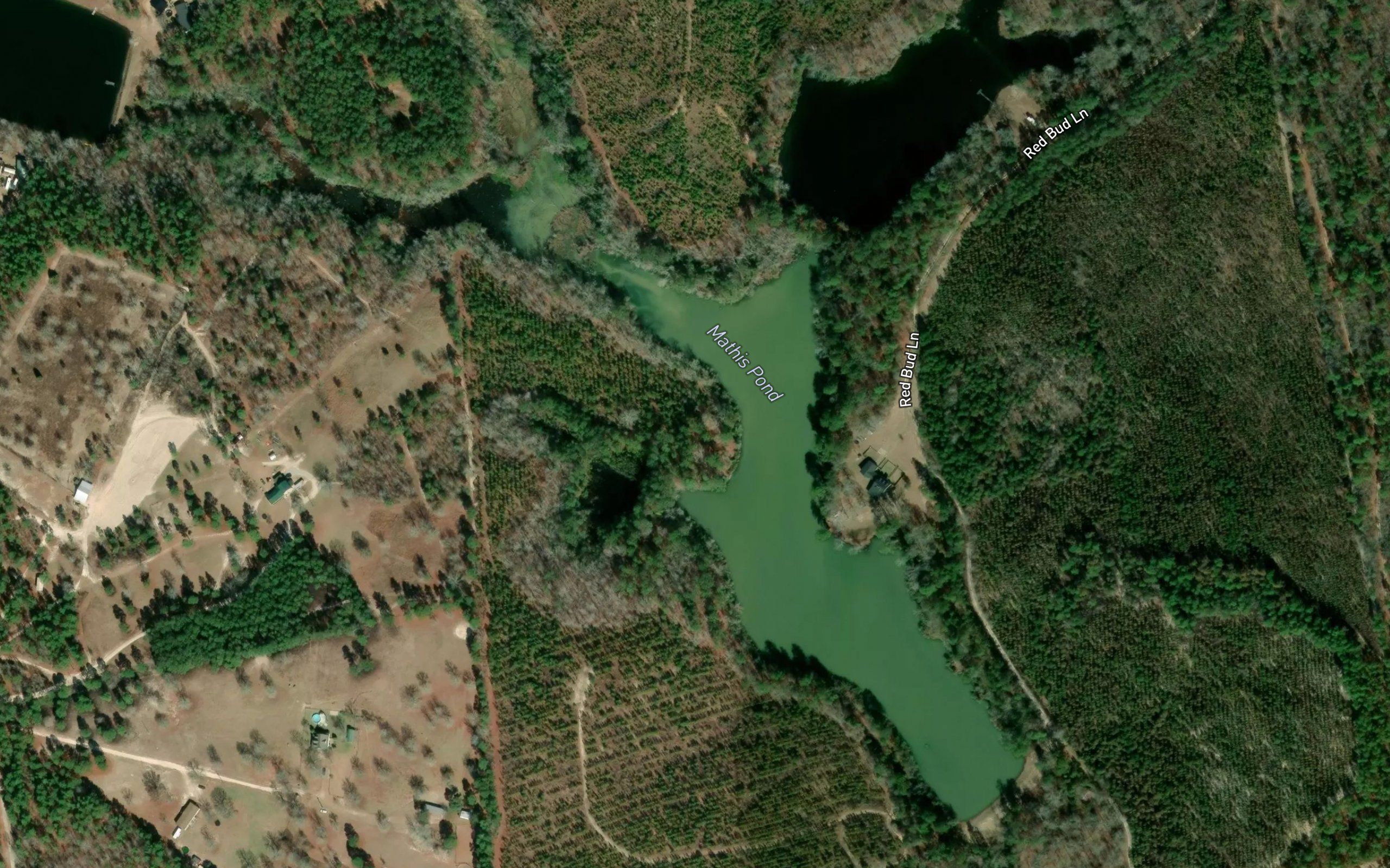 Mathis Pond