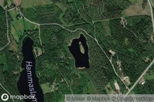 Heinalampi