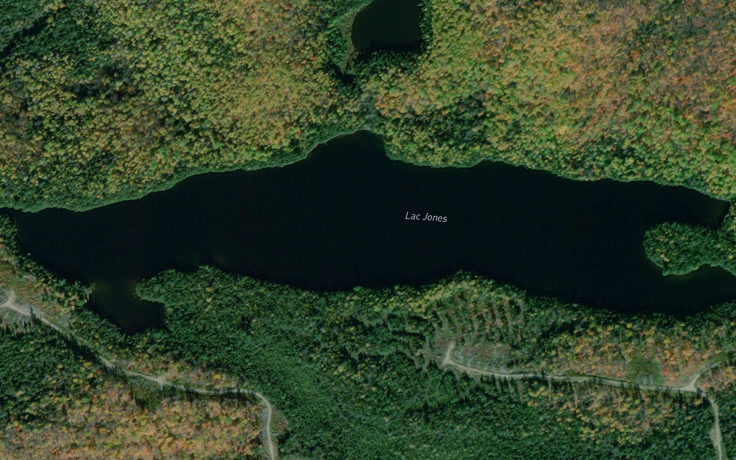 Lac Jones