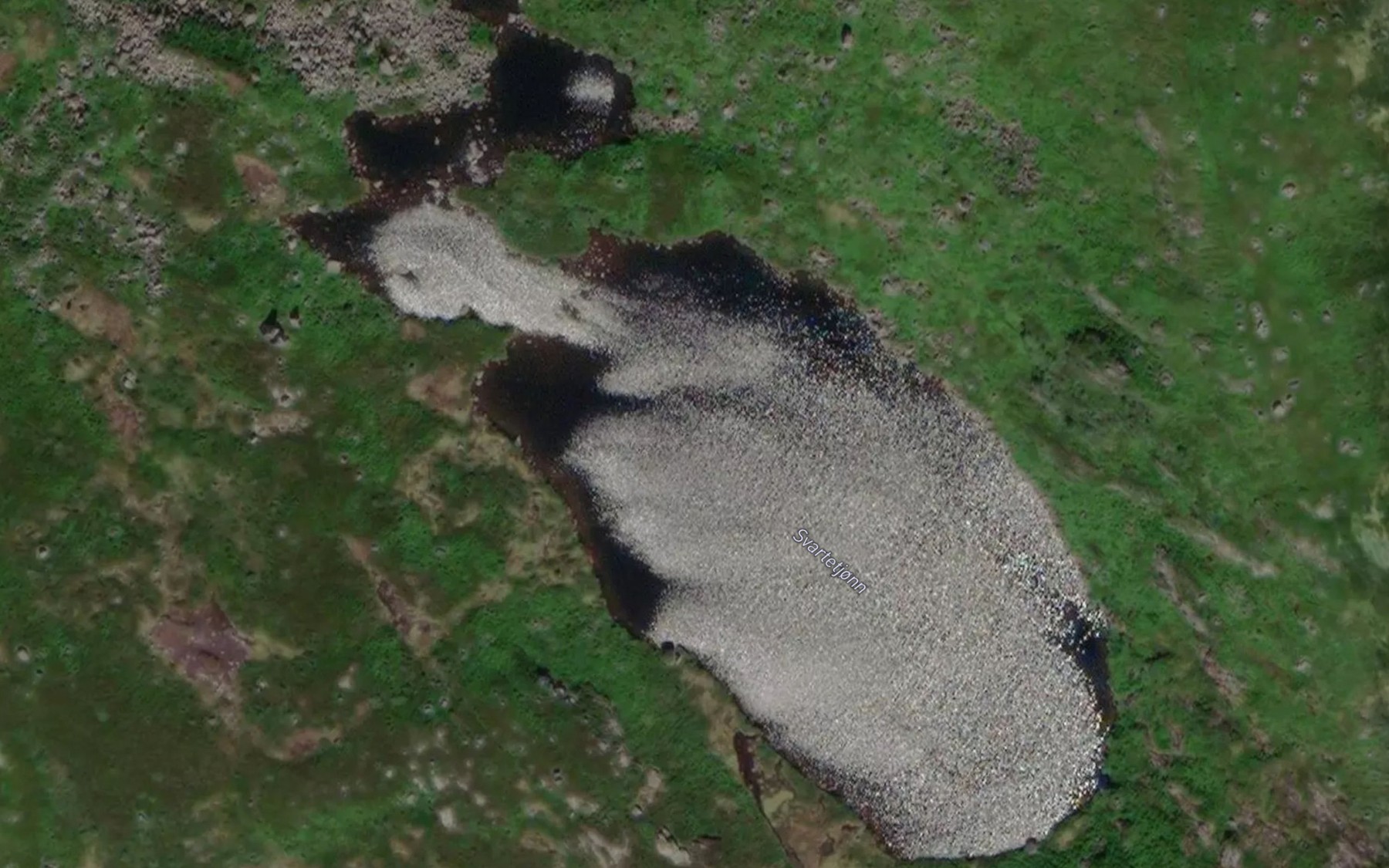 Satellite map of the Svartetjorni