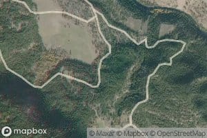 Camoo Creek