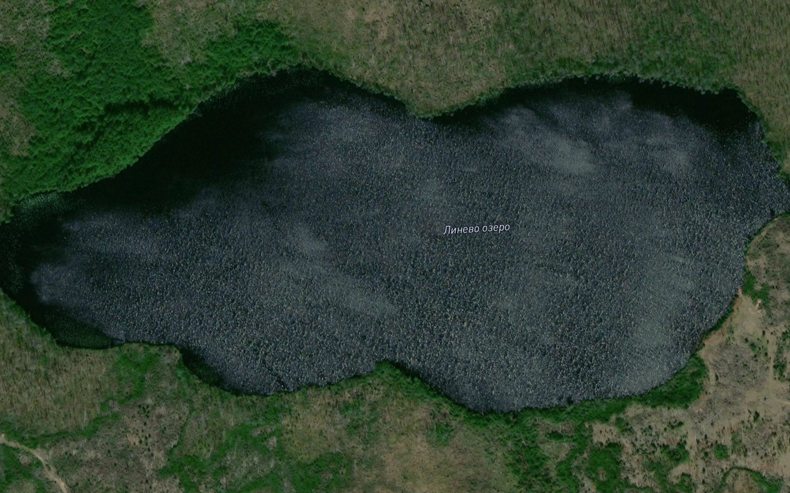 Ozero Linevo