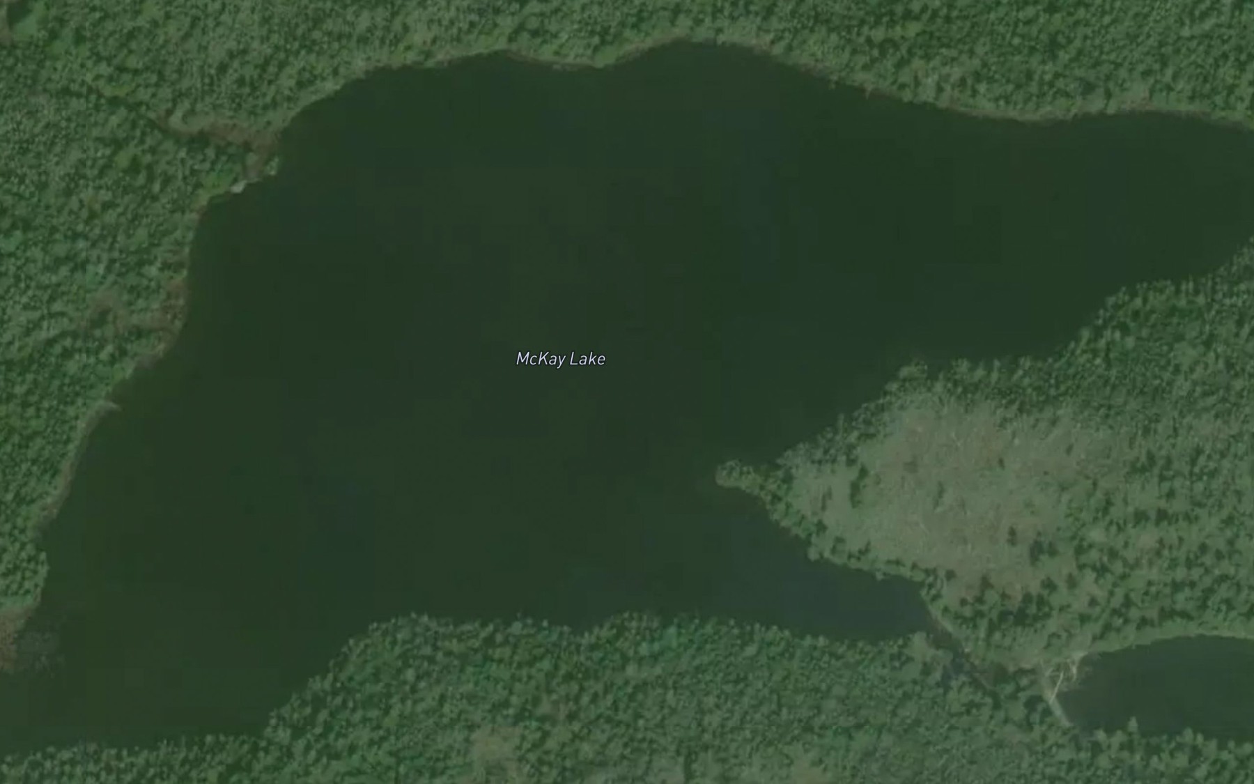 Satellite map of the McKay Lake