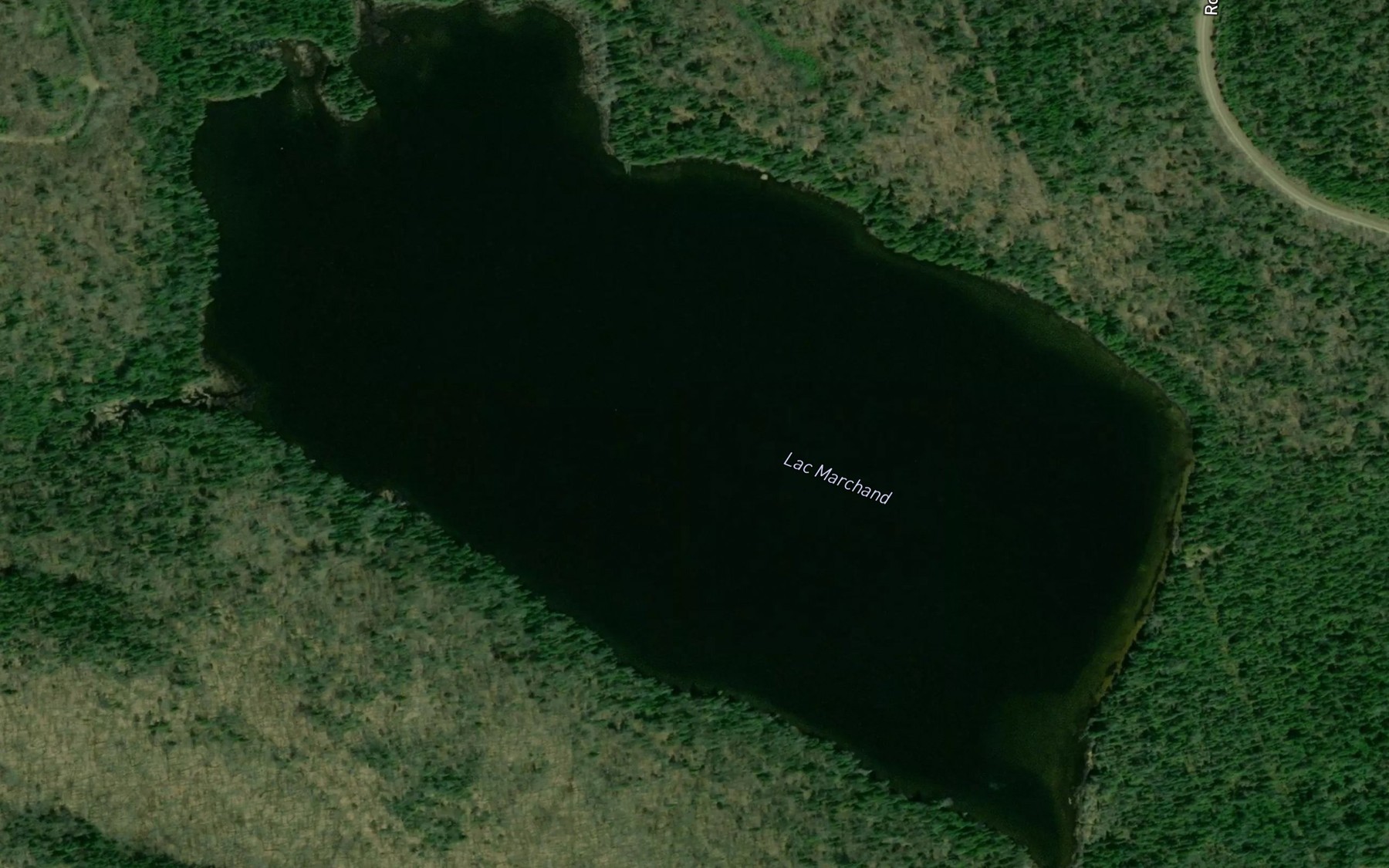 Satellite map of the Lac Marchand