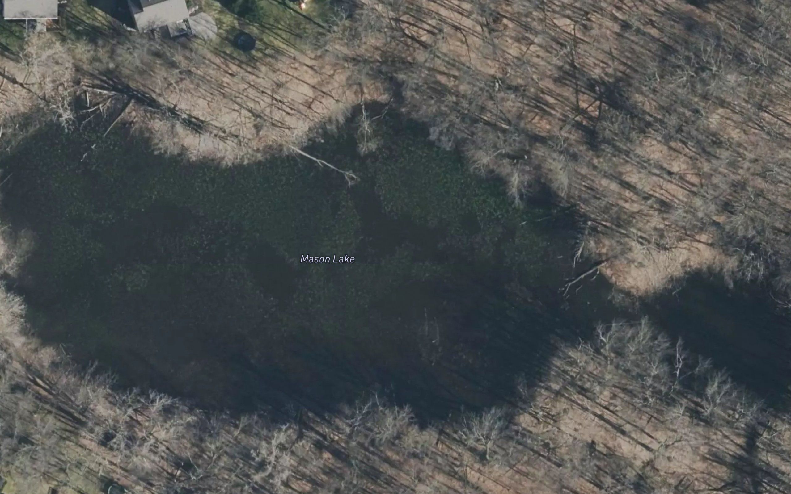 Mason Lake