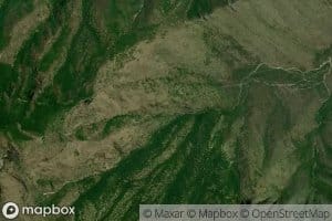 Canada Pata De Gallo