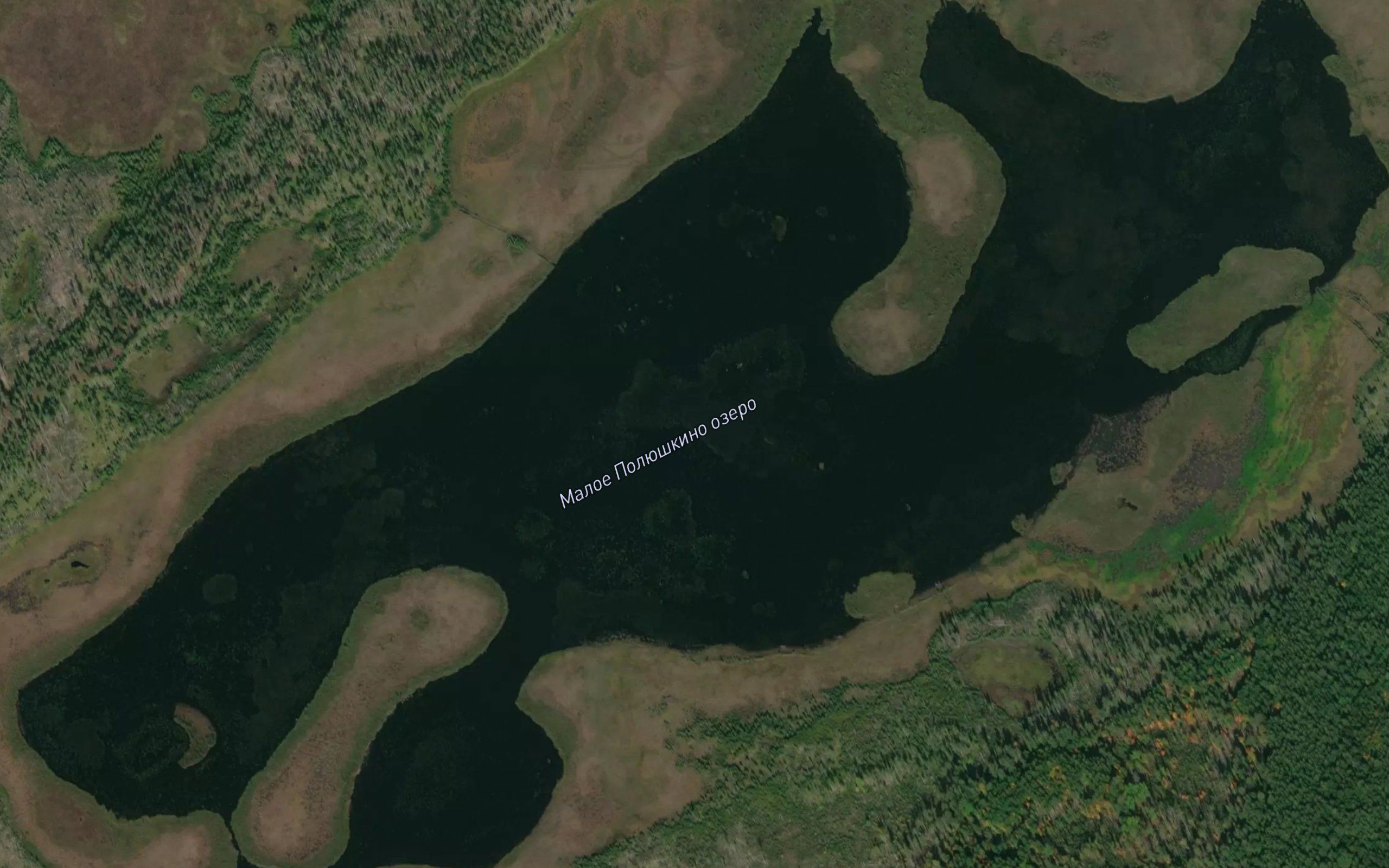 Ozero Maloye Polyushkino