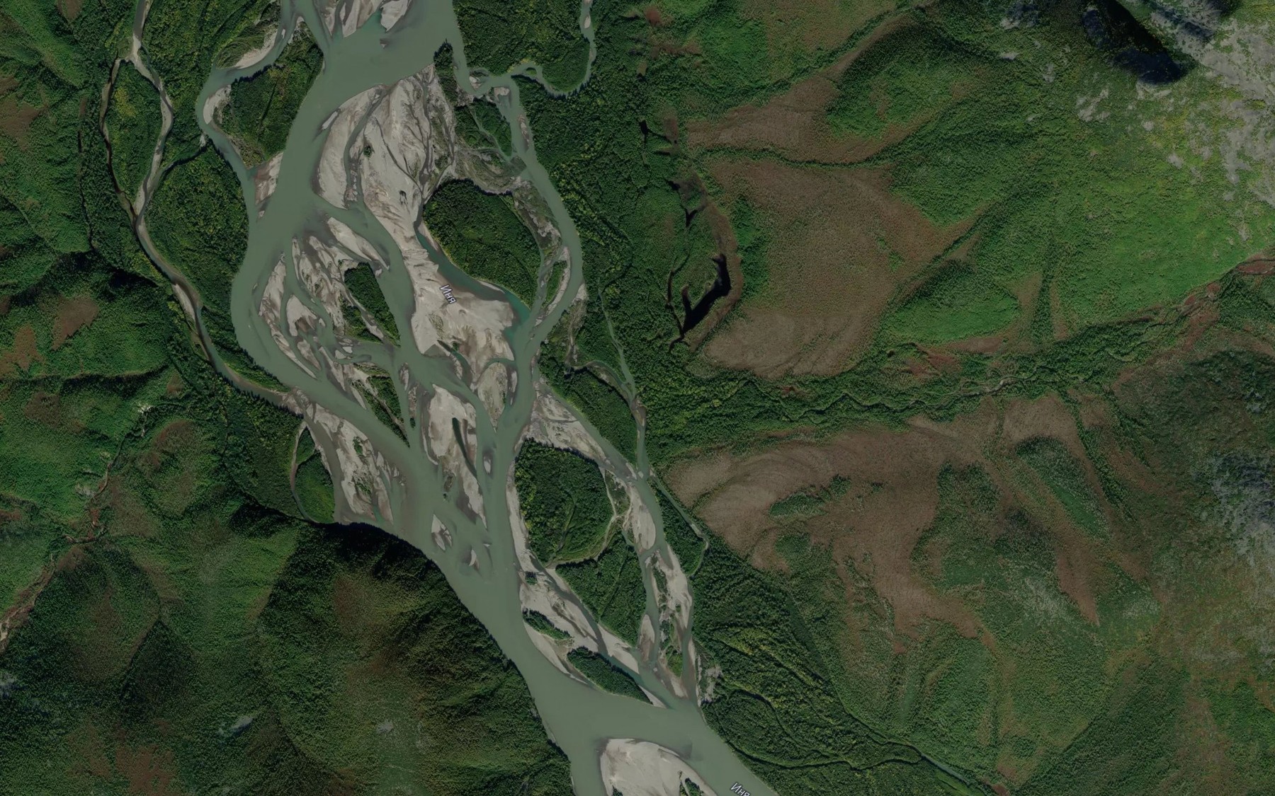 Satellite map of the Zheltyy