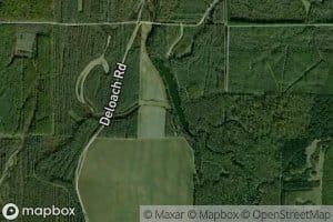 Rabbit Bayou