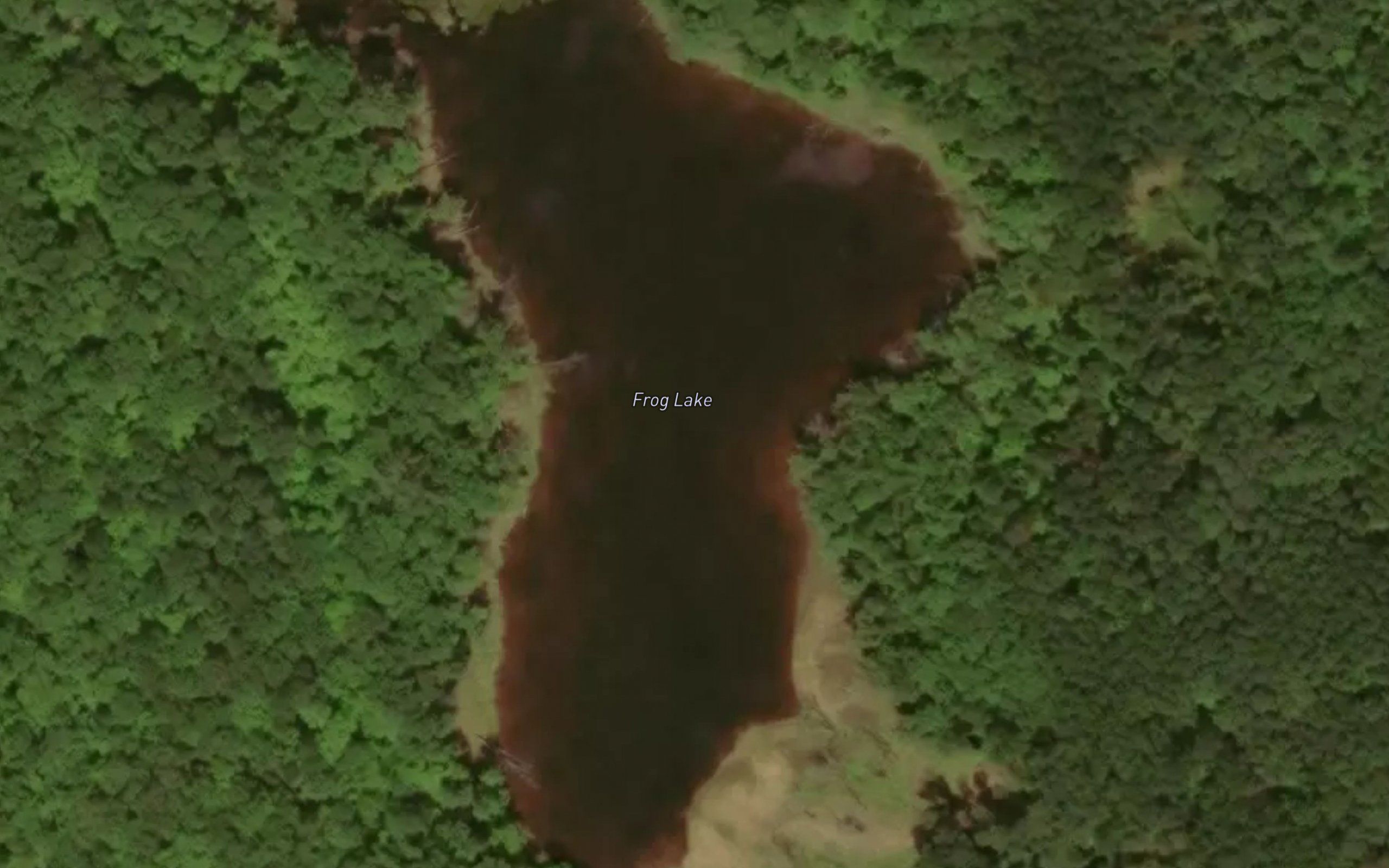 Frog Lake
