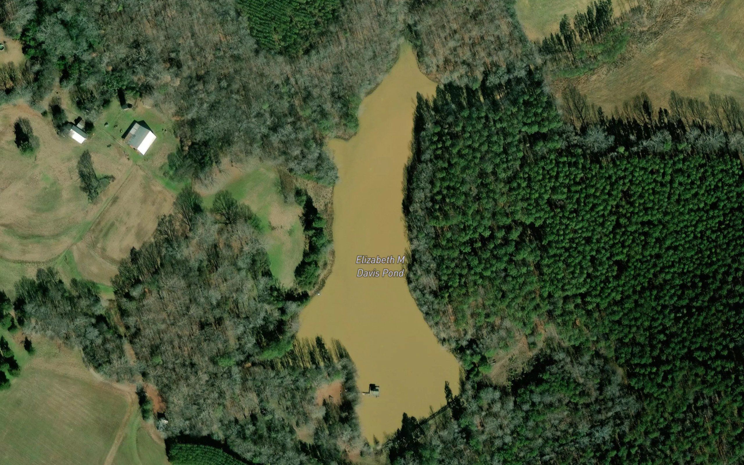 Elizabeth M Davis Pond