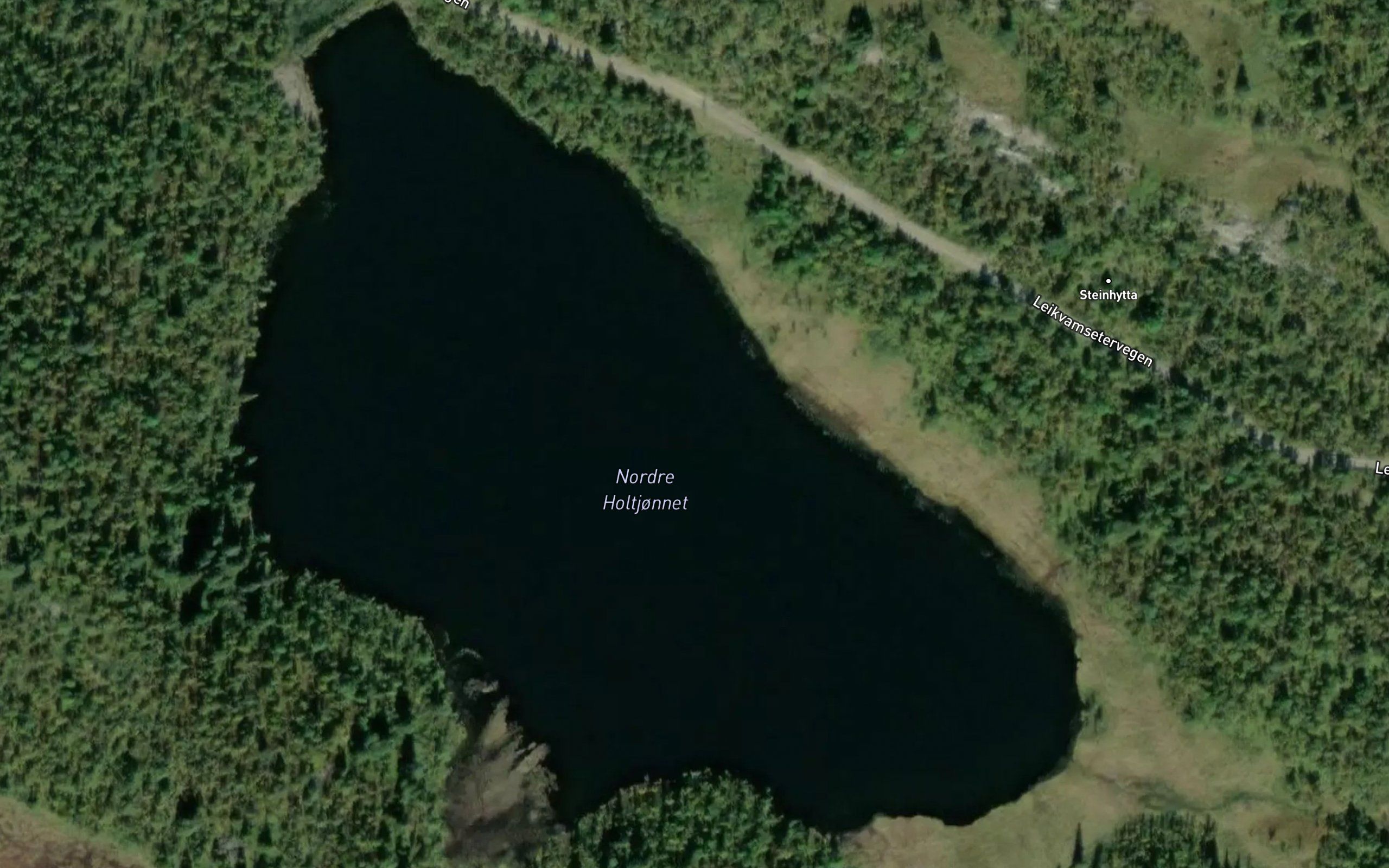 Holtjernet