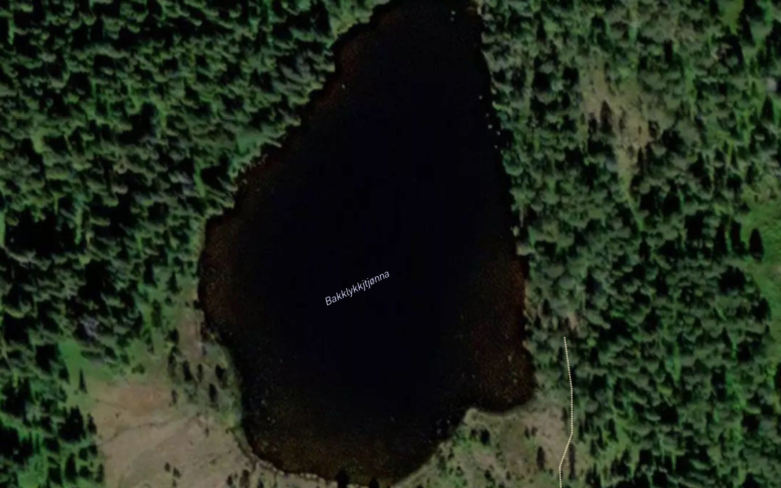 Baklitjorna