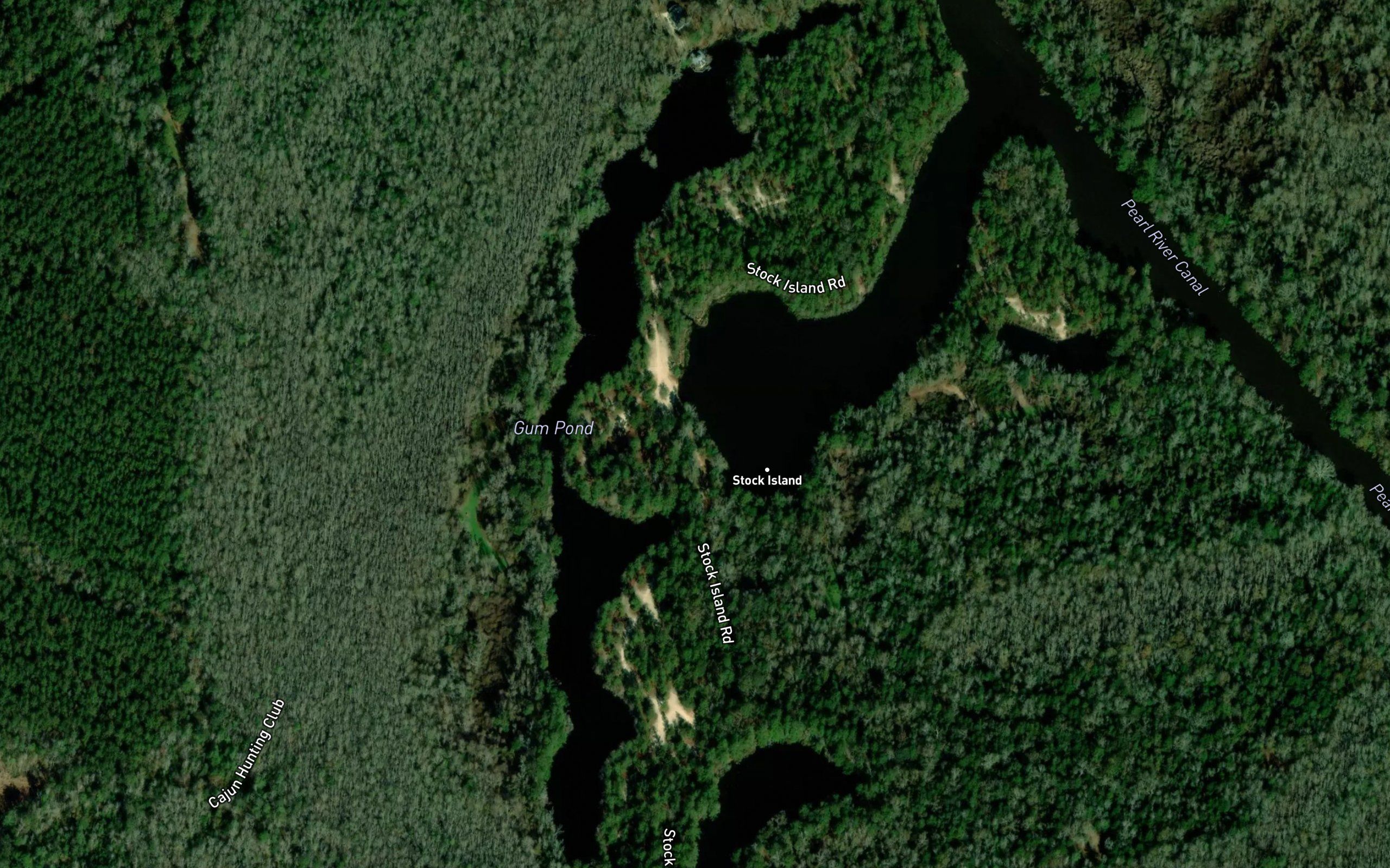 Gum Pond
