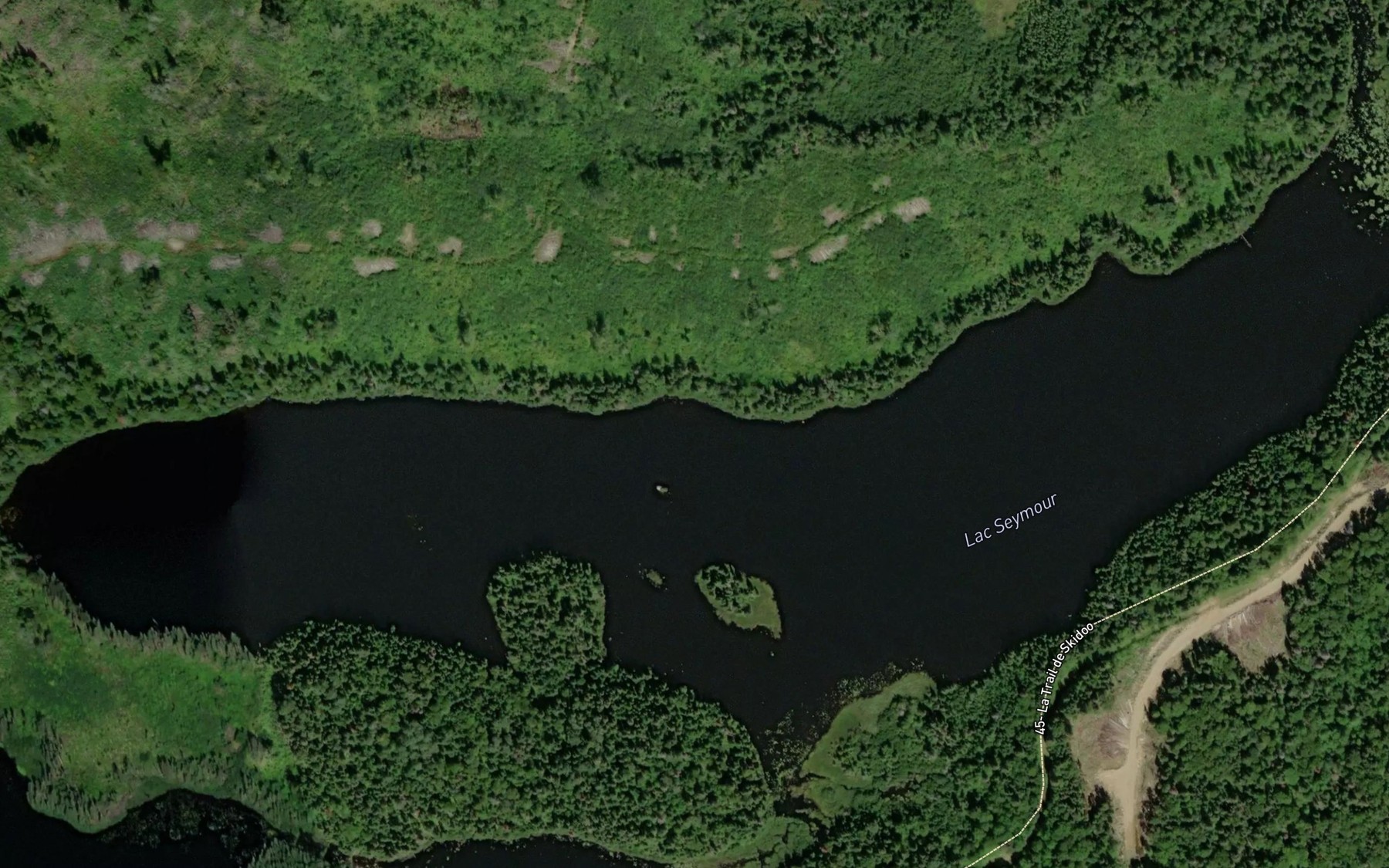 Satellite map of the Lac Seymour