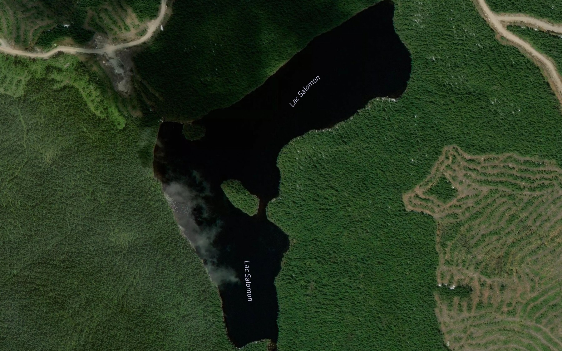 Satellite map of the Lac Salomon