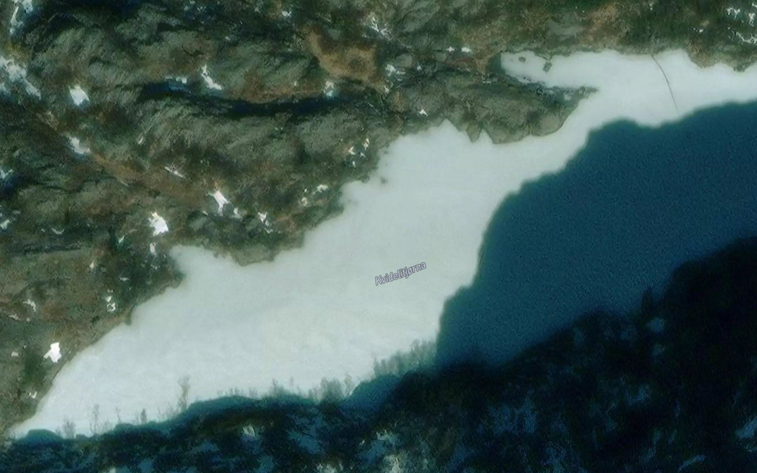 Kvidelitjorna
