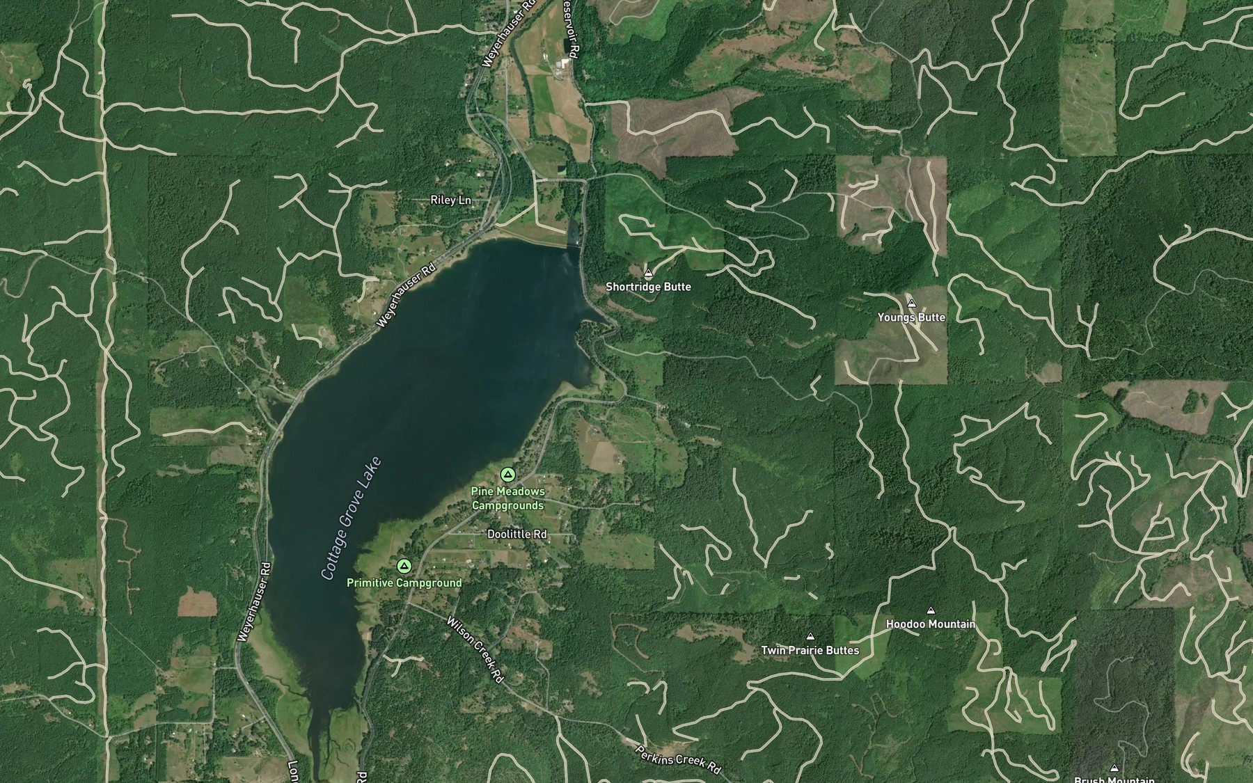 Satellite map of the Youngs Creek
