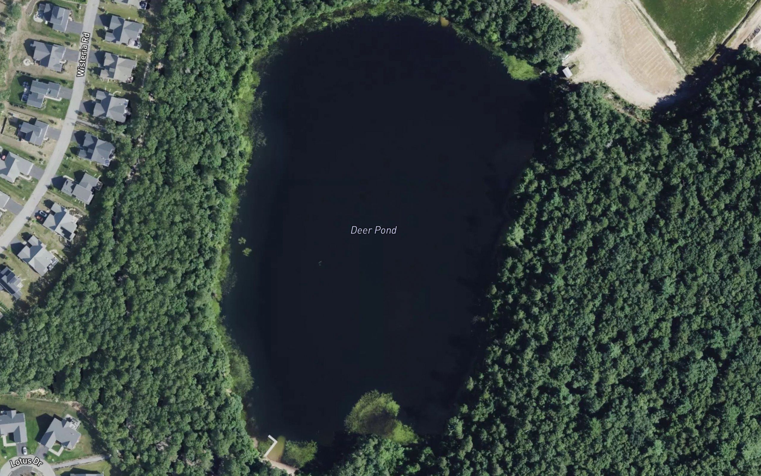 Deer Pond