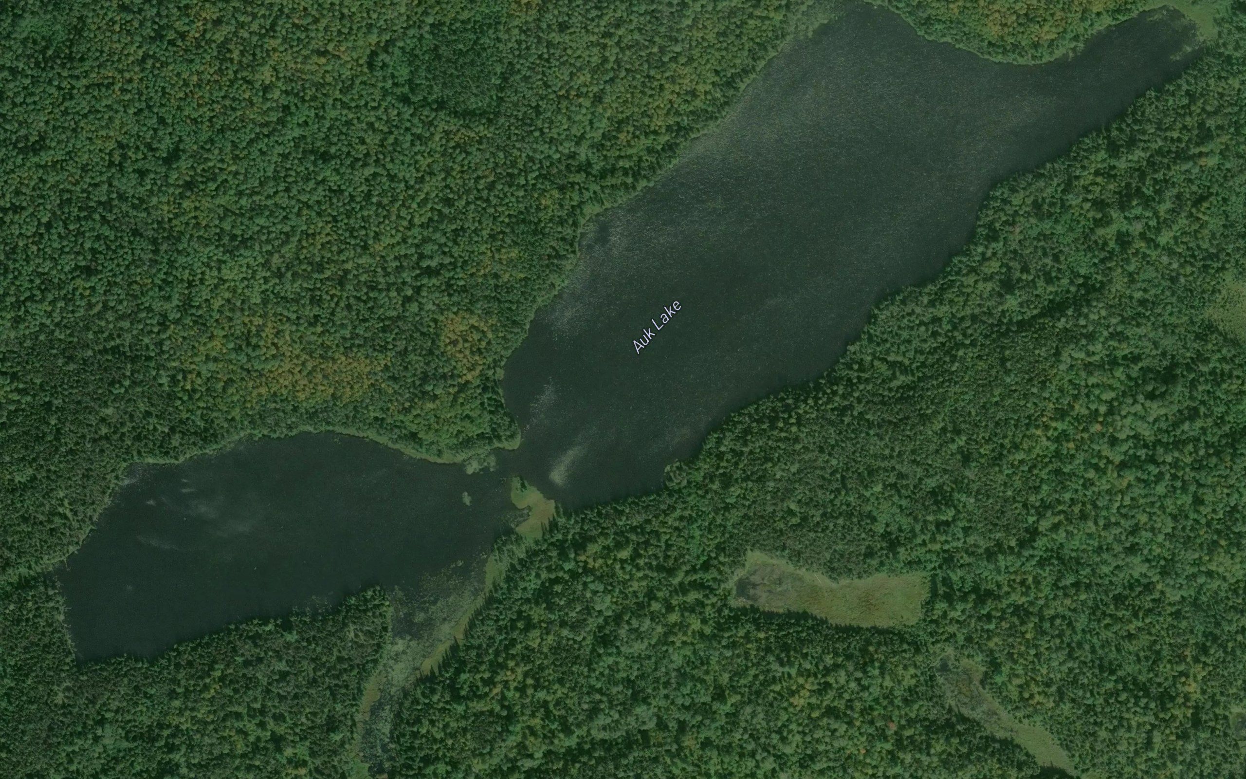 Auk Lake