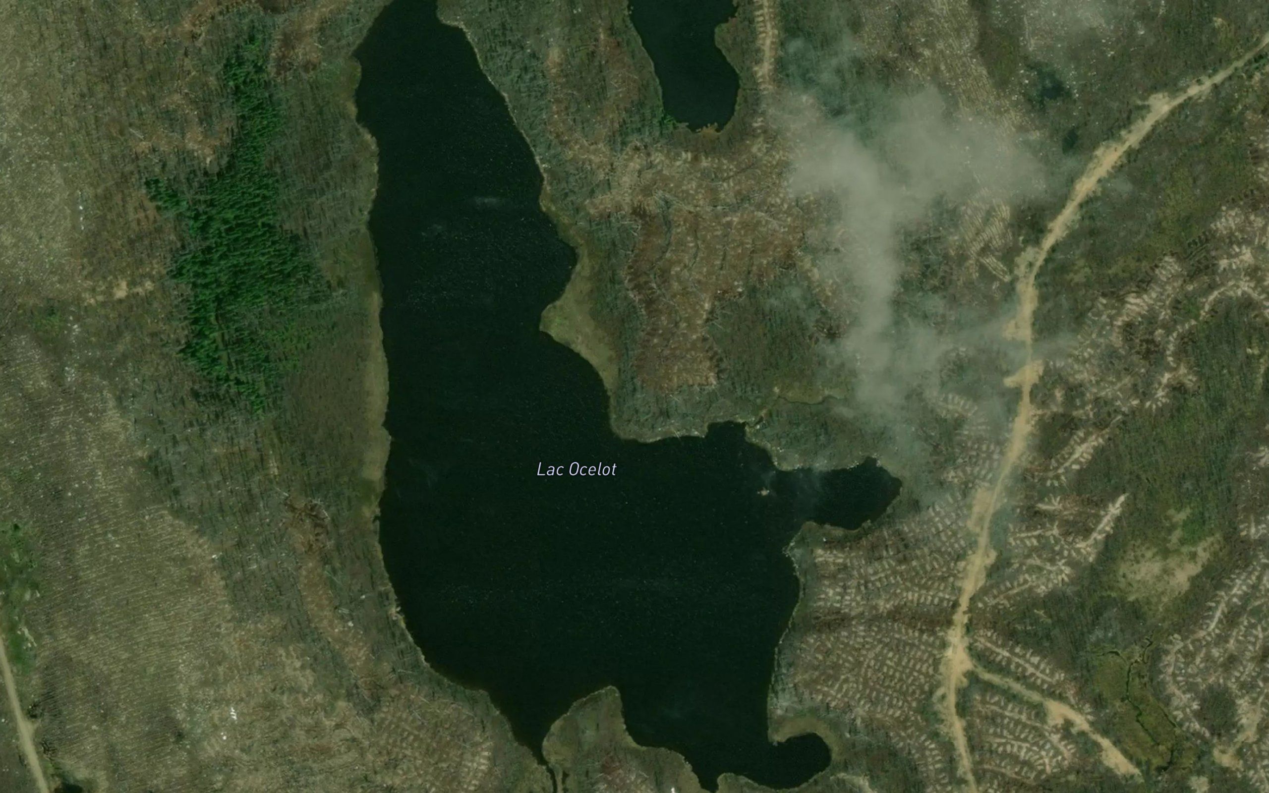 Lac Ocelot