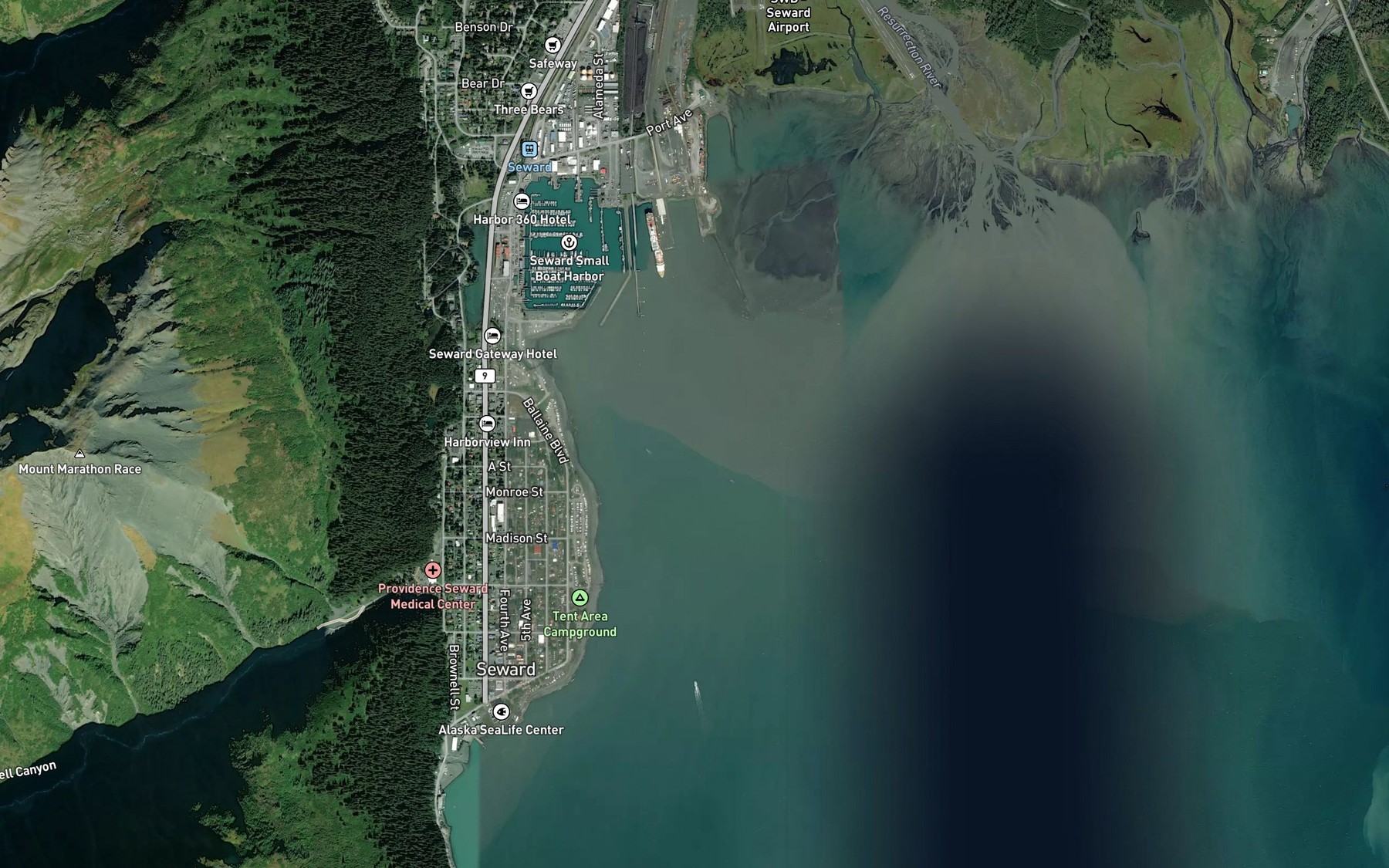Satellite map of the Seward Boat Harbor