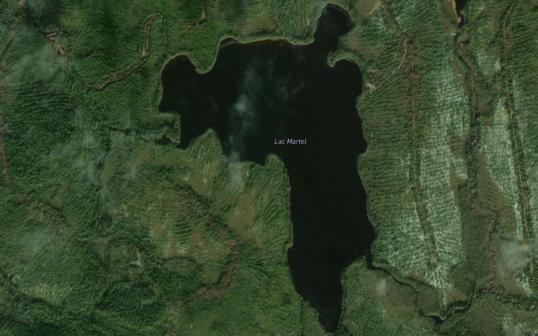 Satellite map of the Lac Martel