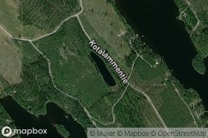 Kotalampi