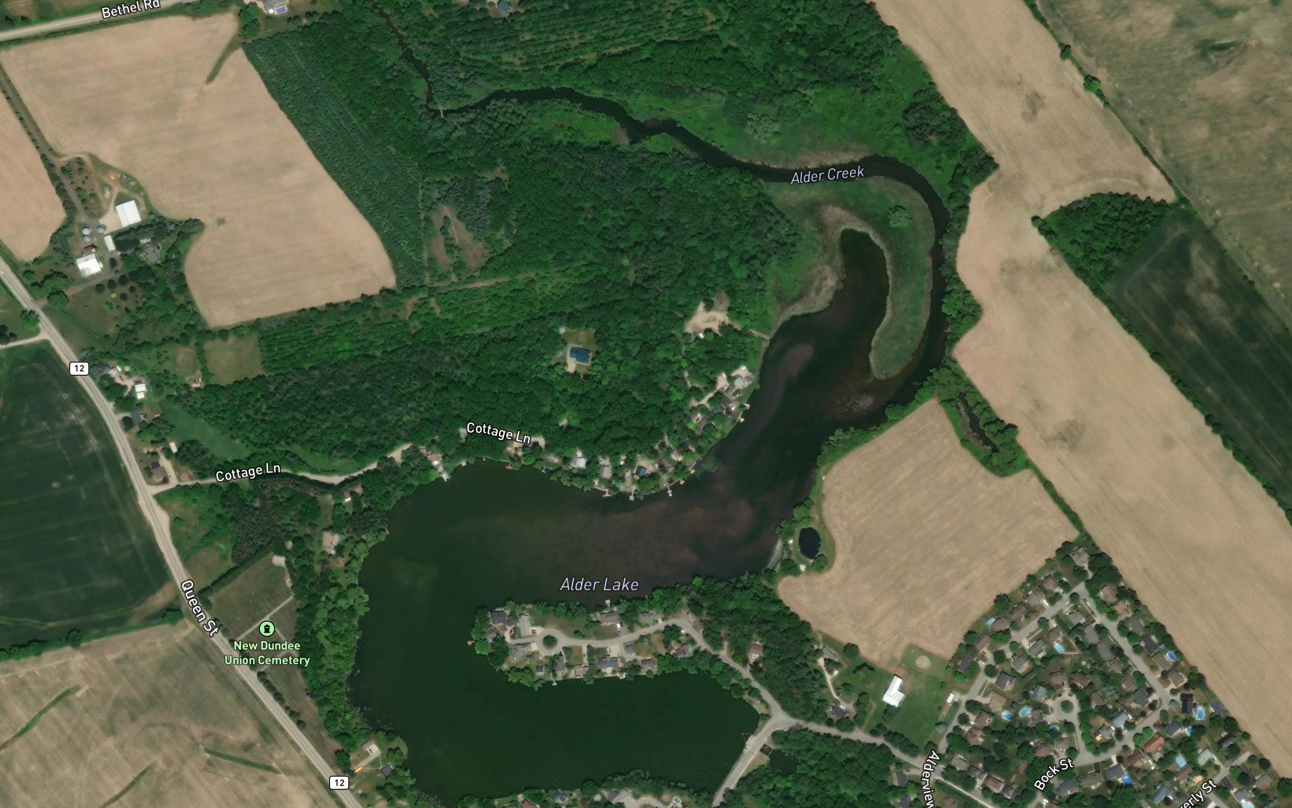 Alder Lake