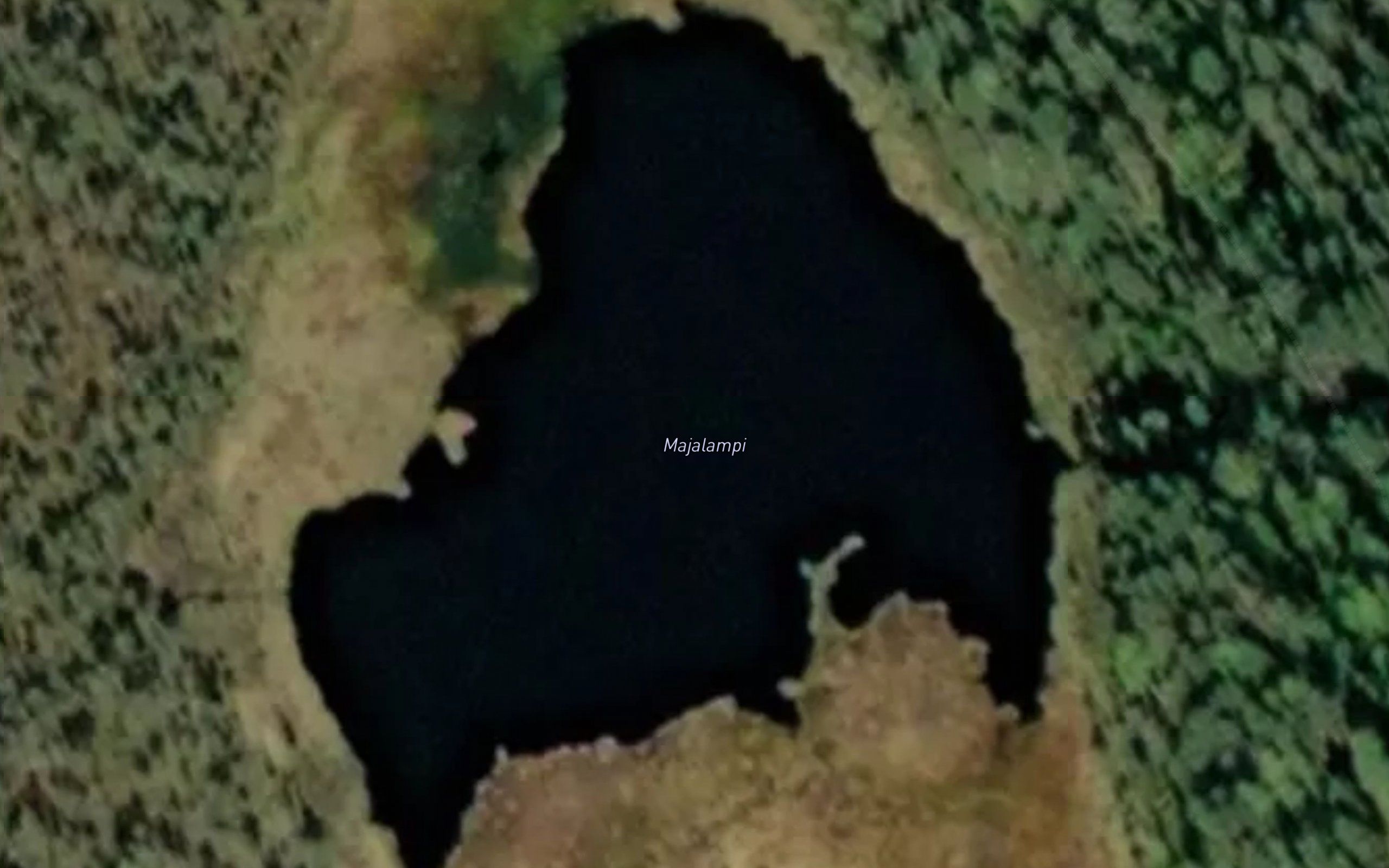 Majalammit