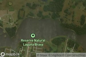 Laguna Brava