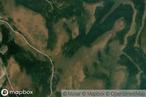 Cabin Spring Number Two