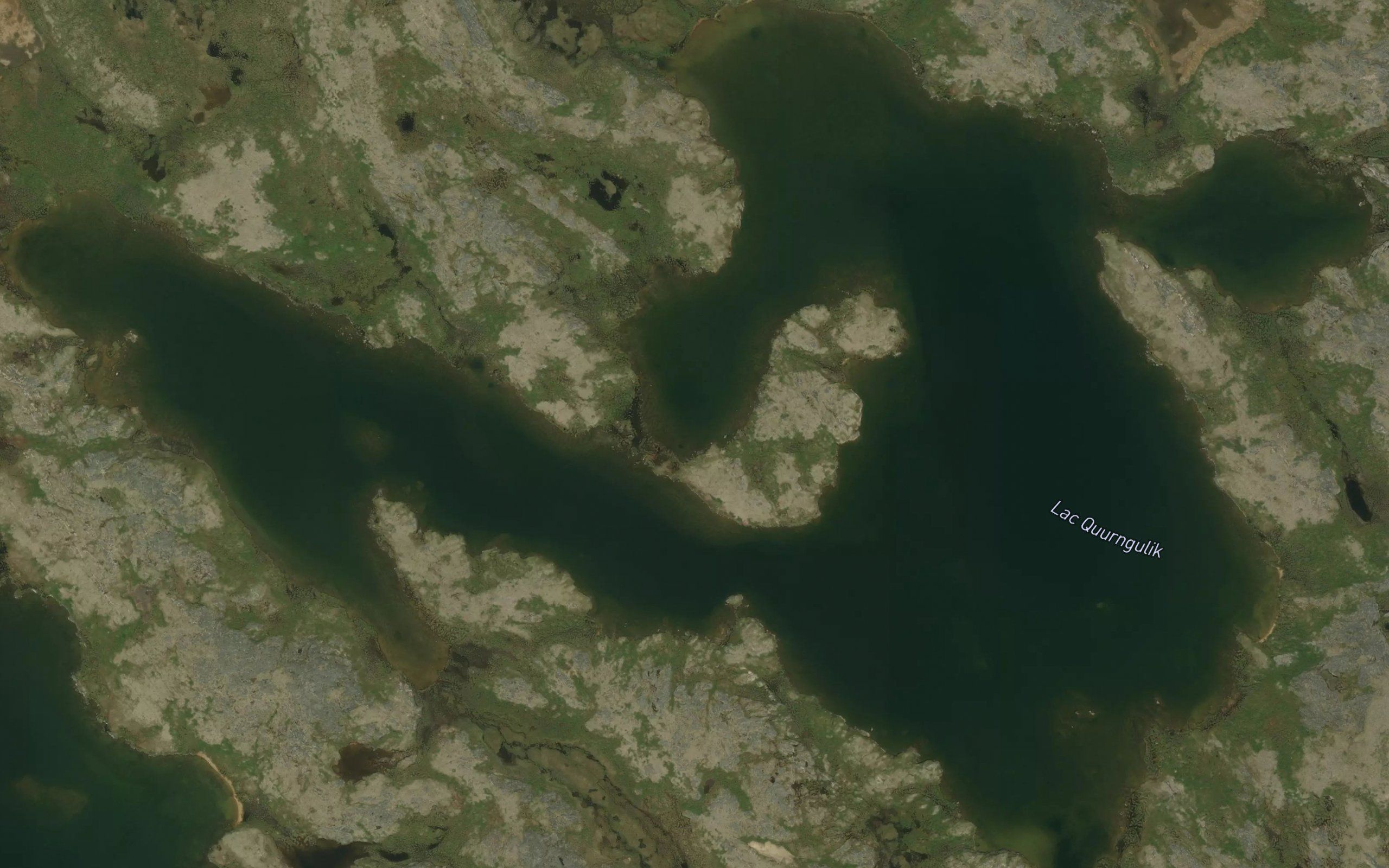 Lac Quurngulik