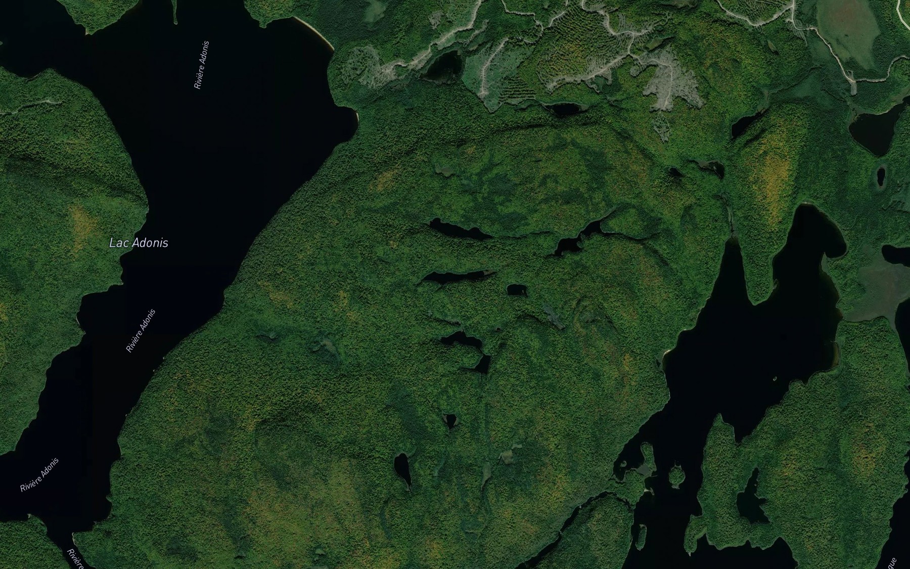 Satellite map of the Petit lac Brouillette
