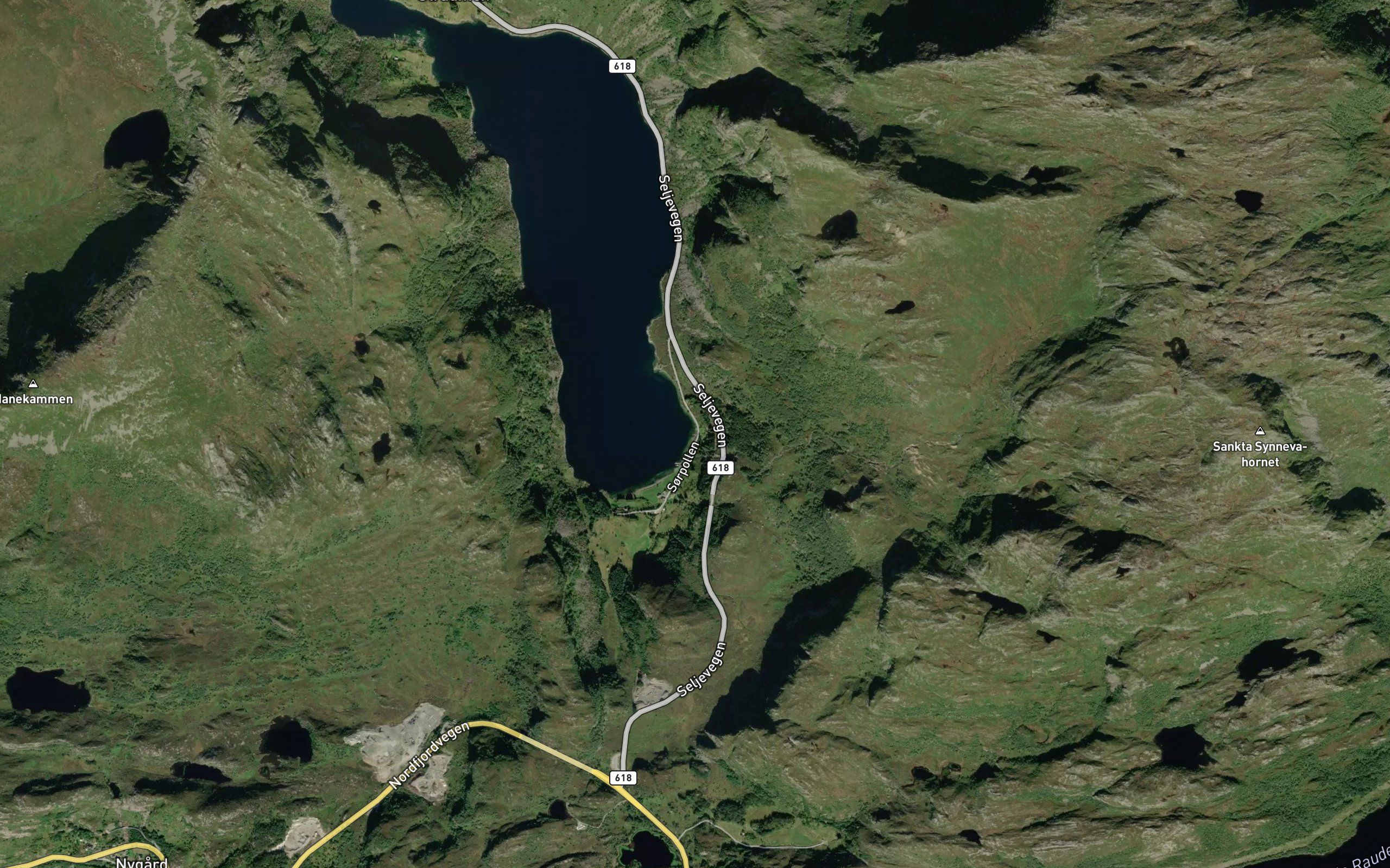 Skoytevika